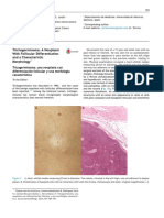 Carcinoma Tricoblastico