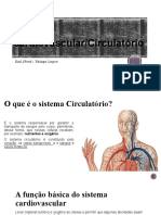 Anatomia e Fisiologia I Sistema Cardiovascular e Respira2023