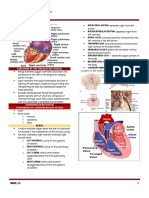 Circulatory System Transes