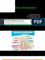 Aula 4 - Nervos Cranianos