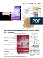 CP 13 Diapositivas