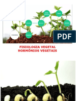 Aula - Hormônios Vegetais 2022