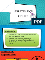 Perpetuation of Life 1