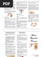 Dokumen - Tips - Aparato Reproductor Femenino Triptico