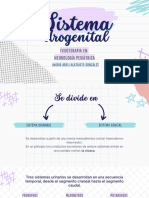 Sistema Urogenital