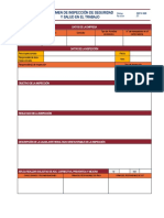 SST-F-023, Resumen de Inspección de SST