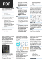 C08 - Lesiones Meniscales