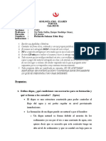 Upc - Examen Parcial Geologia - 2023-1 CS2D