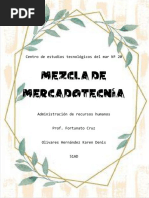 Mezcla de Mercadotecnia