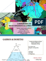 Clase 8 - Peridotitas, Gabros & Dioritas - JS