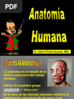 Morfo I 1 Anatomia