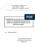 Caceres Posibilidades de Inserción Socio Laboral de Los Adultos Con Discapacidad