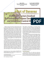 Crown Rot of Bananas Preharvest Factors