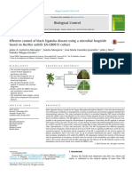 Effective Control of Black Sigatoka Dise