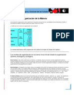 Estructura Biologica y Funcional Del Ser Humano