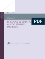 7.-El Bloque de Derechos Multiculturales en México