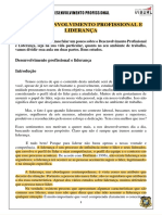 Aula 3 - DESENVOLVIMENTO PROFISSIONAL E LIDERANÇA