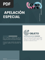 9.5 Recurso de Apelación Especial Proceso Penal