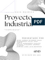 Proyecto Insdustrial