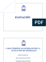 Características Generales de La Flotación de Minerales