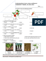 SC - Plants Exercise