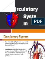 Circulatory System