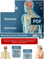 Sistema Nervoso