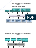 Arbol de Problemas