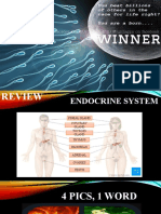 Male Reproductive System