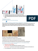 Lesiones Endo1