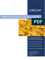 Proyecto Plan de Negocio Empresa Agricola