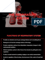 Respiratory System