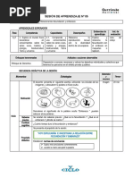 Sesion de Aprendizaje N°5