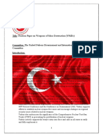 Turkiye's Position Paper