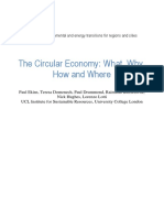 Ekins 2019 Circular Economy What Why How Where