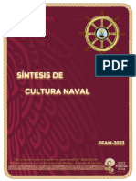 Sintesis Cultura Naval 2023 - Con Texto - 105749