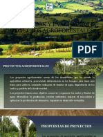 Formulacion y Evaluacion de Proyectos Agroforestales