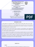 8F - Equipo-4 - Organización y Instrumentos de Organización