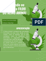 AulaFilosReinoAnimal SLIDES