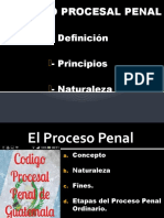 Derecho Procesal Penal I