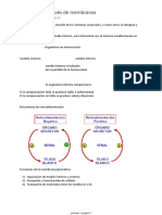 Solemne 1 Fisio Geneal