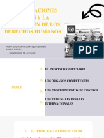 Tema 6 Naciones Unidas y La Proteccion de Los Derechos Humanos