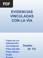 Evidencias Vinculadas Con La Via