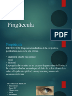 Pinguecula y Pterigion