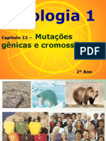 Mutações Gênicas e Cromossômicas