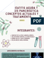 Semana 10 - Bases II