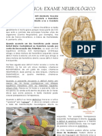 Exame Neurologico