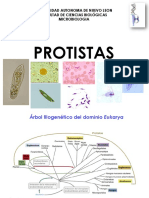 3 1-Protistas