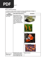 M6-Fungi Classification and Diseases - Caparas