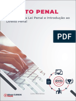 Aplicacao Da Lei Penal e Introducao Ao Direito Penal